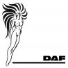 Daf (1)