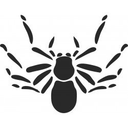 hmyz (1)